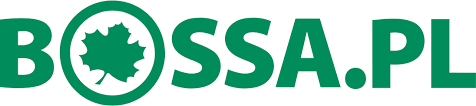 Ikona