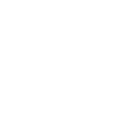 Ikona
