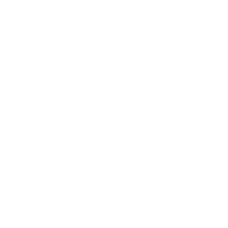 Ikona