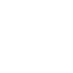 Ikona