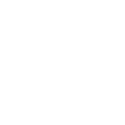 Ikona
