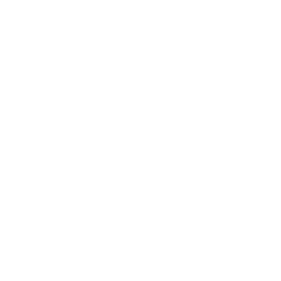 Ikona