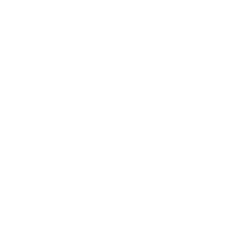 Ikona