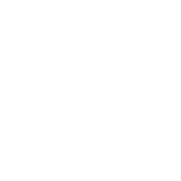 Ikona