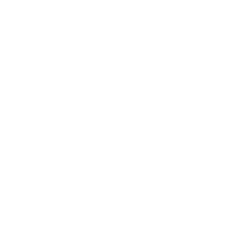 Ikona