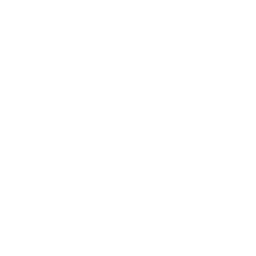 Ikona