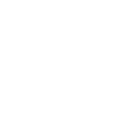 Ikona