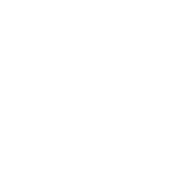 Ikona