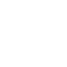 Ikona