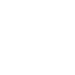 Ikona