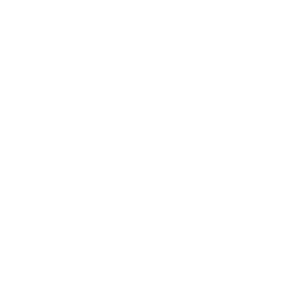 Ikona
