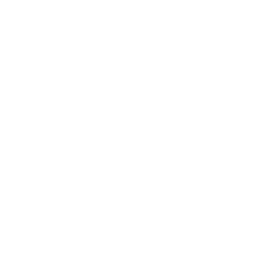 Ikona