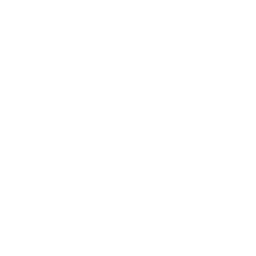 Ikona