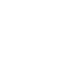 Ikona