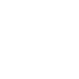Ikona